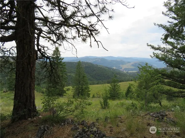 0 TBD Two Sisters Way, Curlew, WA 99118