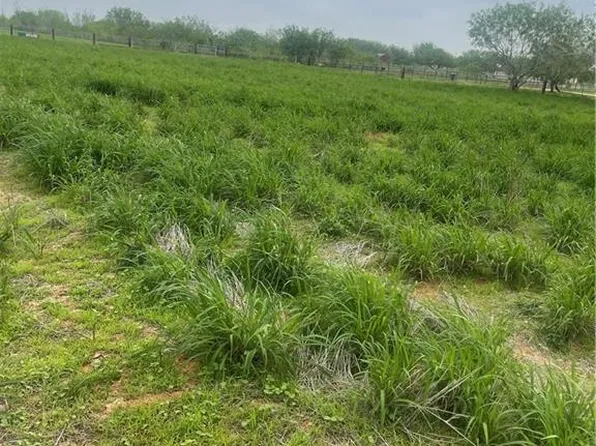 24307 Rio Colorado Rd, Edinburg, TX 78541