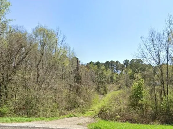 1399 State Highway 64, Ben Wheeler, TX 75754