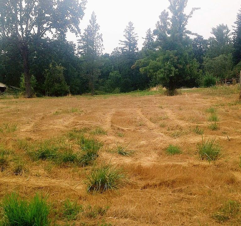 2nd image of 33807 SE Wildcat Mountain Dr #103