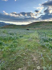 0 Bill Shaw Road, Pateros, WA, 98846