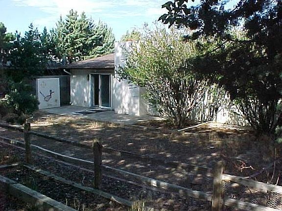 Rear view