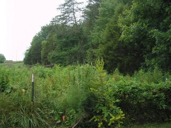 316 Christian Commons Rd, Cookeville, TN 38506