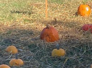 2052 Island Trl, Chapin, SC 29036