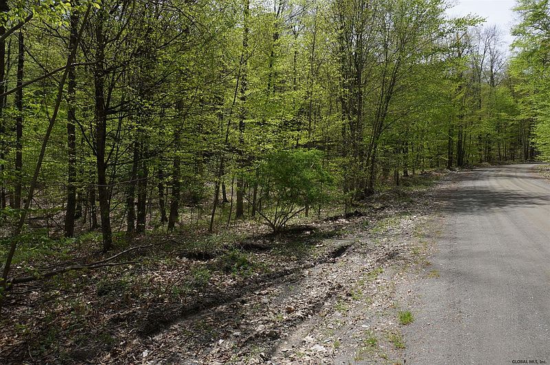 3rd image of 0 PATTERSON HILL Road