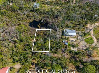 0 2nd Ave NE, Steinhatchee, FL 32359