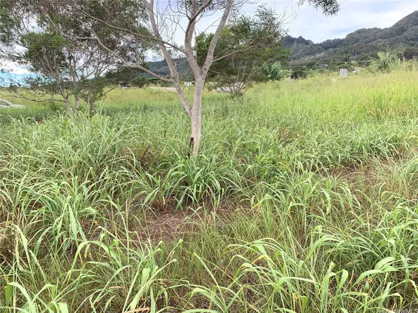 94-1100 Kunia Rd #99-B, Kapolei, HI 96707