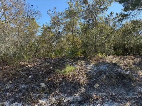 McBride Avenue Lot #1, Deltona, FL 32725