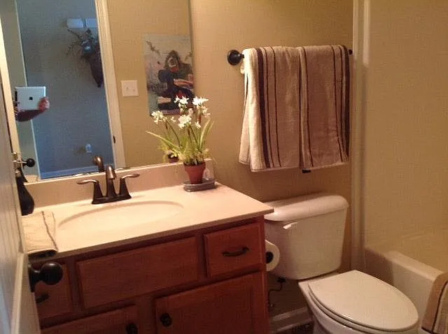 Guest bath