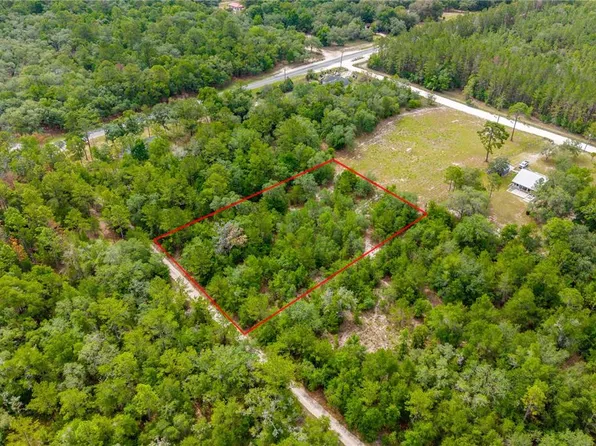 7930 NE 121st St, Bronson, FL 32621