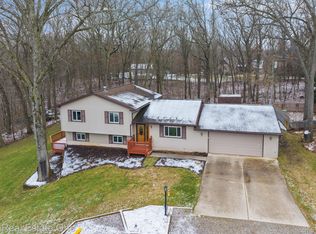10690 Wolverine Dr, Pinckney, MI 48169