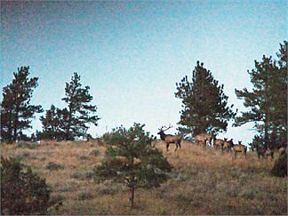 2nd image of 27698 Dewey Rd