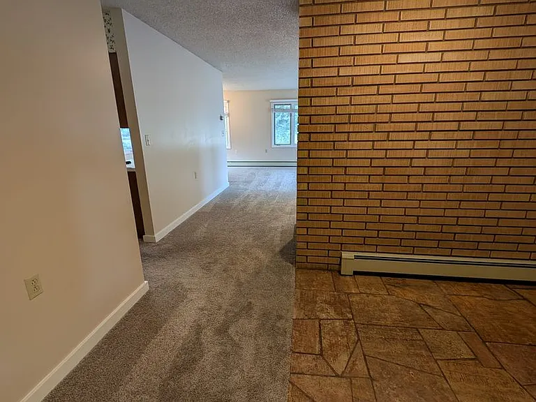 8731 Haggerty Ln — Photo 3