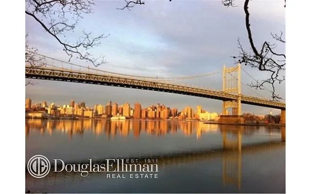 Rented by Douglas Elliman | media 35