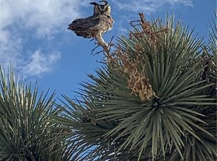 4321 Campanula St, Joshua Tree, CA 92252