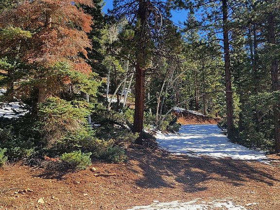 3rd image of 990 W Bear Trak