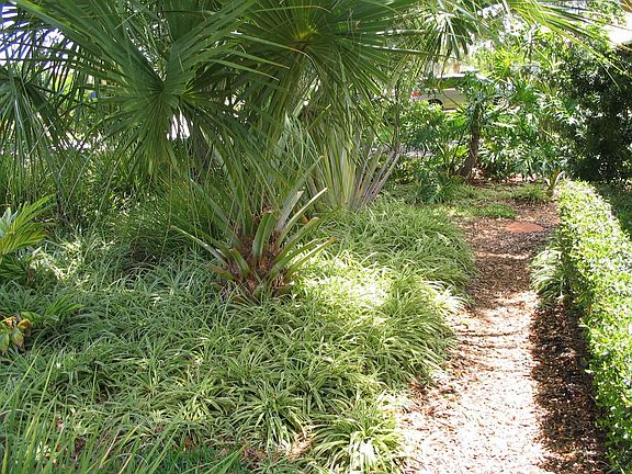 East path to canal