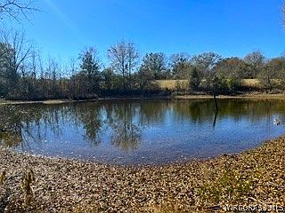 4th image of 30341 Cool Springs Rd