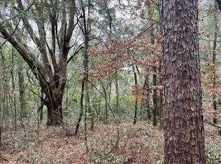 SW Elim Church Rd, Fort White, FL 32038