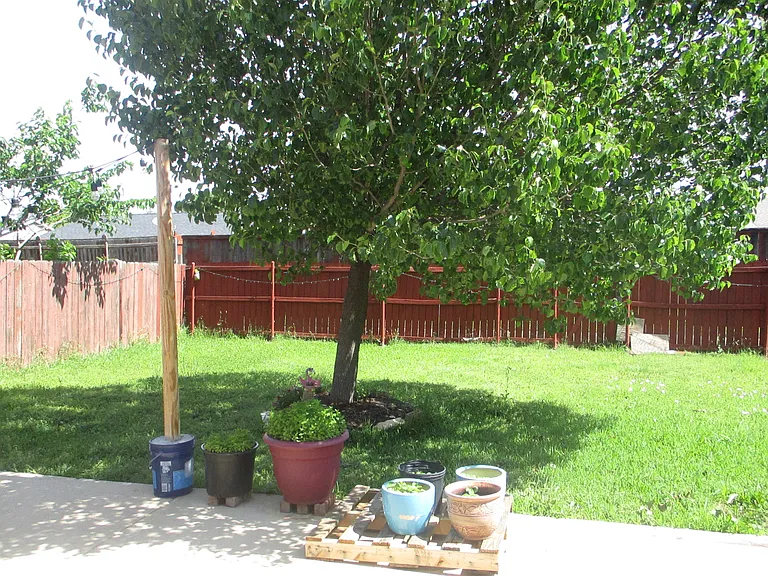 5425 Slay Dr — Photo 13