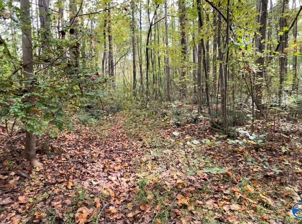 1st image of Carters Gin Rd