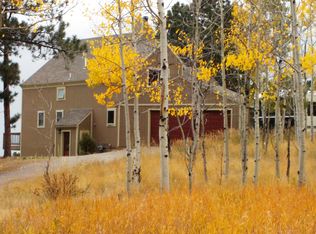 200 Moss Rock Rd, Bailey, CO 80421