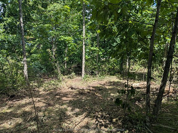 2nd image of 2622 4th Concession Rd