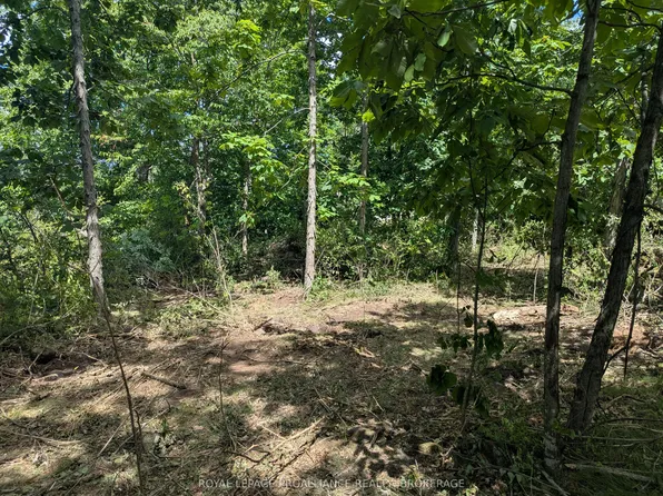 2621 4th Concession Rd, Kingston, ON K7G 2V5