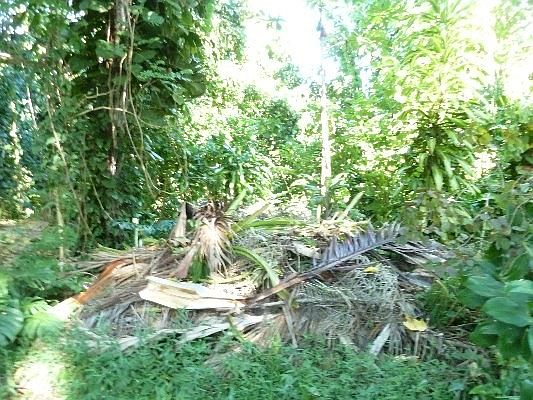 4th image of 12-7225 Mauka Nui St Lot 84