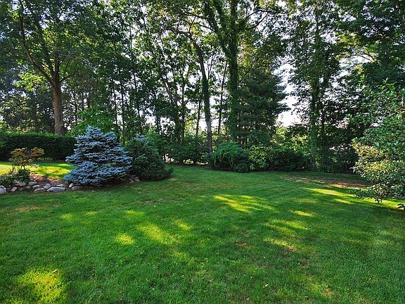 Landscaped Yard