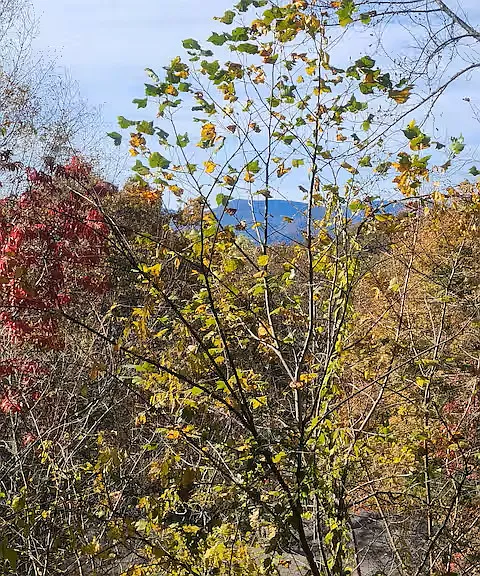 138 Spy Glass Cir #4 — Photo 22