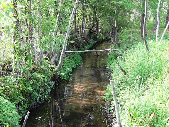 Creek running through back yard