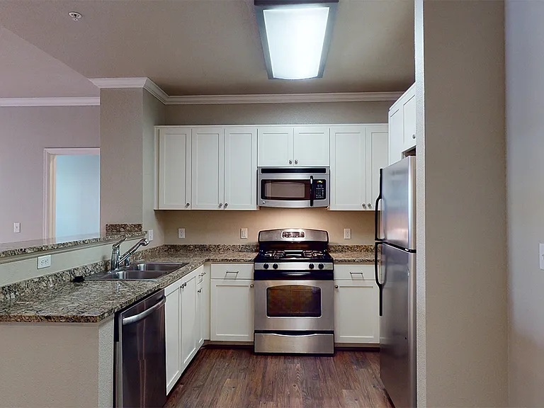 Apartment kitchen with stainless steel appliances, granite countertops and wood-style flooring.