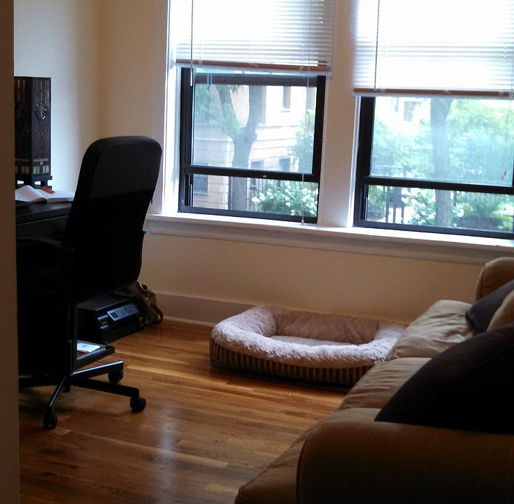 1st image of 938 W Oakdale Ave APT 1S