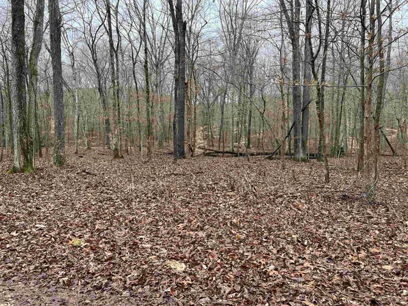 Point Mason Rd Parcel 10&11, Big Sandy, TN 38221