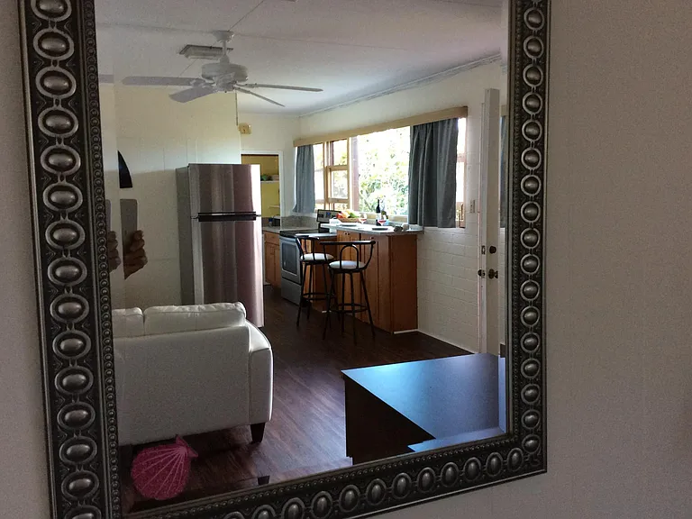 The veiw from living room mirror.