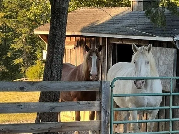 860 Allens Lake Rd, Dillwyn, VA 23936