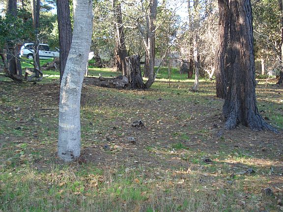 3rd image of 1455 Pineridge Dr