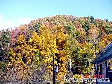 Cottage
						:
						View of cottage from Minton Hollow Road