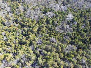 1st image of 438 County Rd