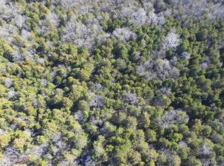 438 County Rd, Berryville, AR 72616