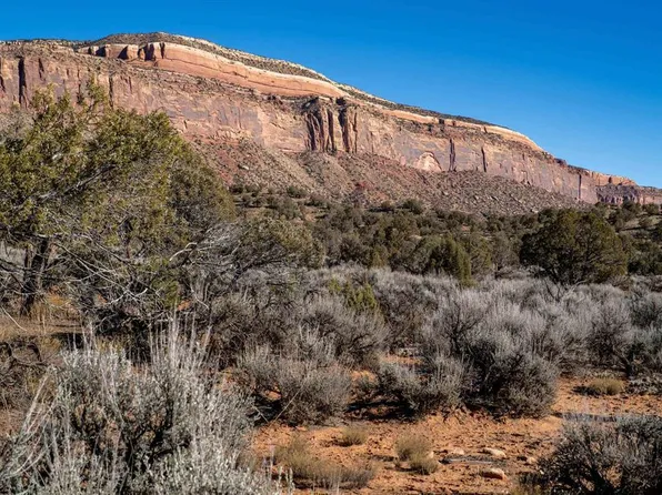 TBD NA Road, Paradox, CO 81429