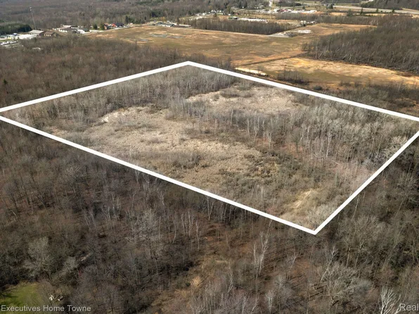 0 Griswold Rd, Smiths Creek, MI 48074