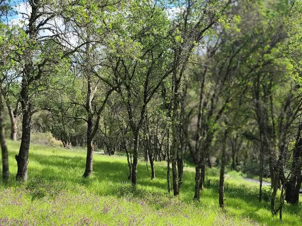 7300 Chalet Way, Pilot Hill, CA 95664