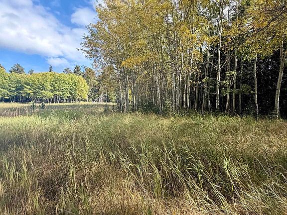 5th image of Aspen Lookout Loop