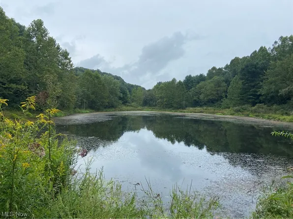 Wills Creek Rd, Adamsville, OH 43802
