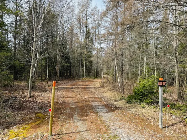 0 S Ojala Rd, Brimley, MI 49715