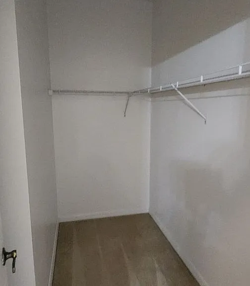 8735 Clara Elizabeth Ln — Photo 19