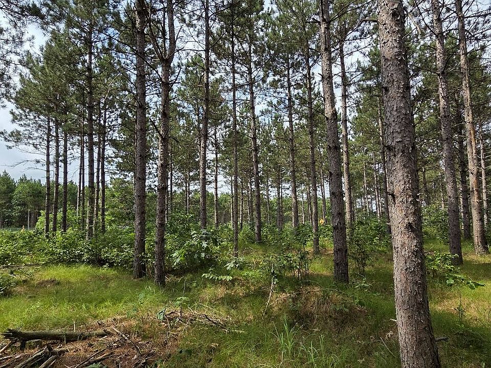 1st image of 3 Hidden Trl