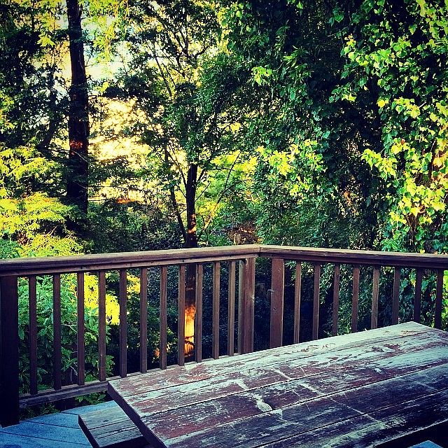 The deck overlooks a grove of Redwood trees with a babbling